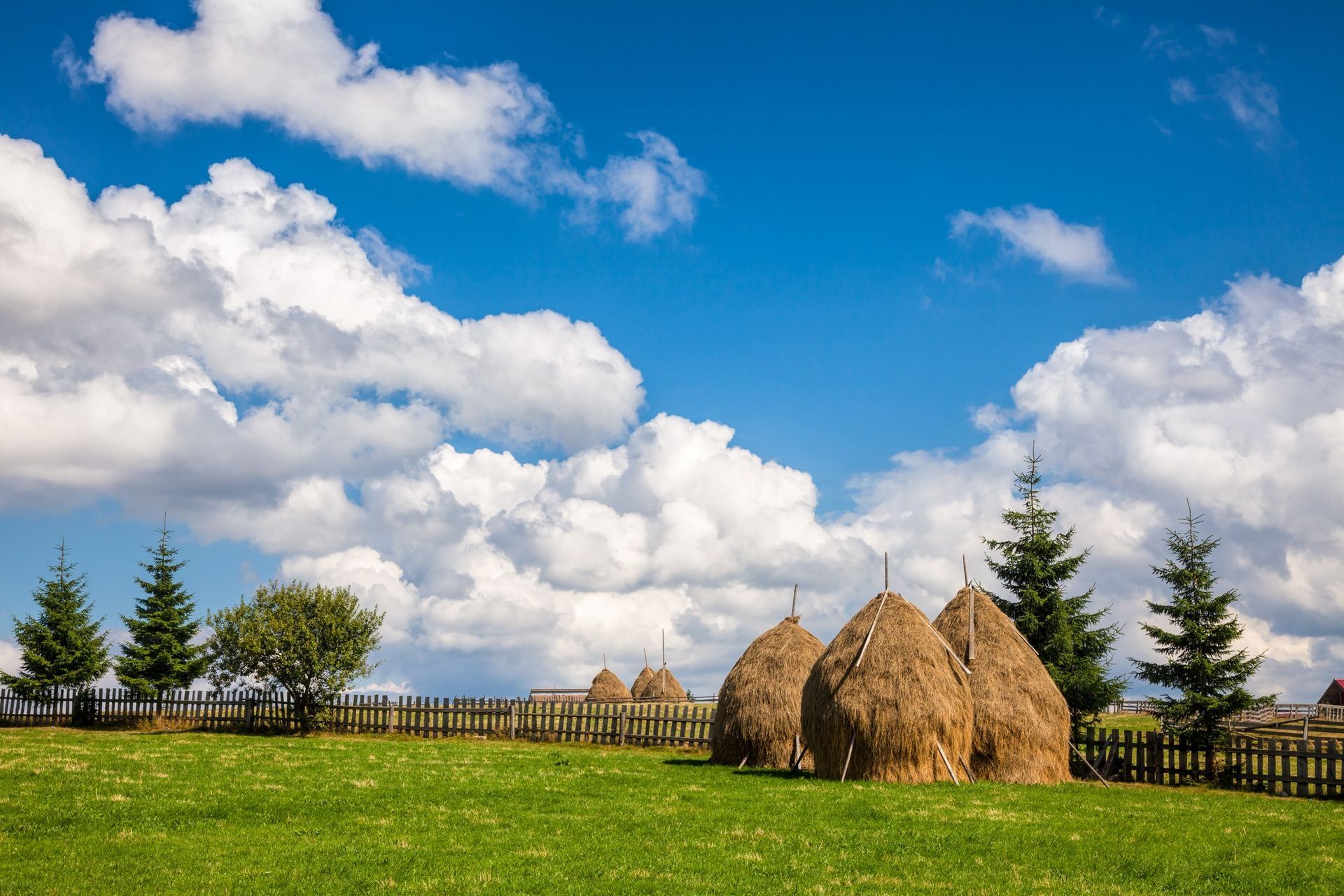 Romanian landscape