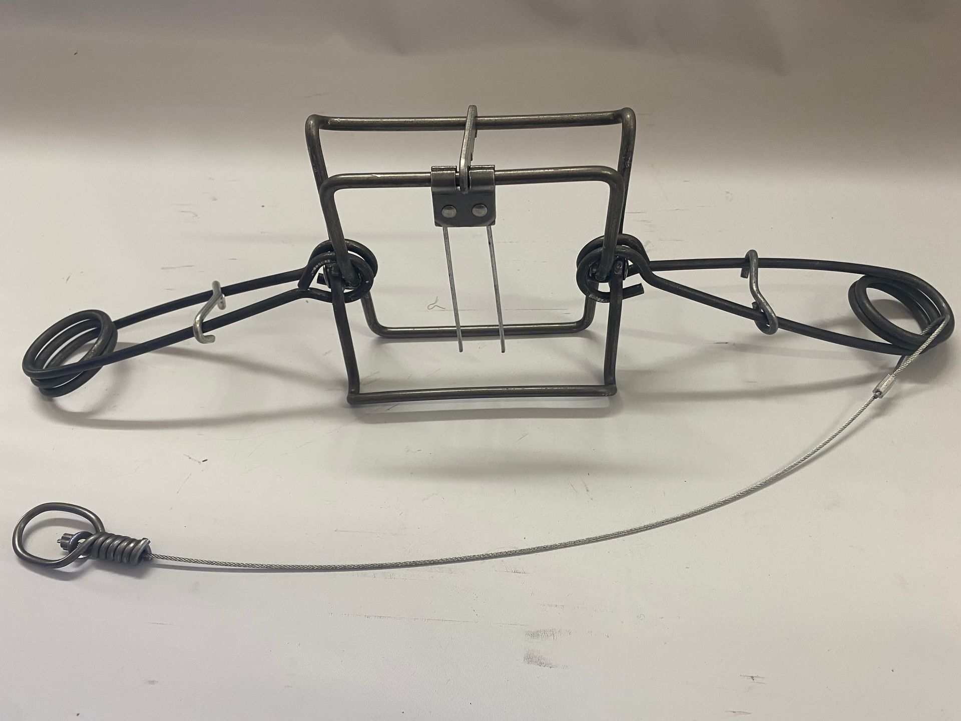 Steel animal trap with spring-loaded jaws, and a chain tether.