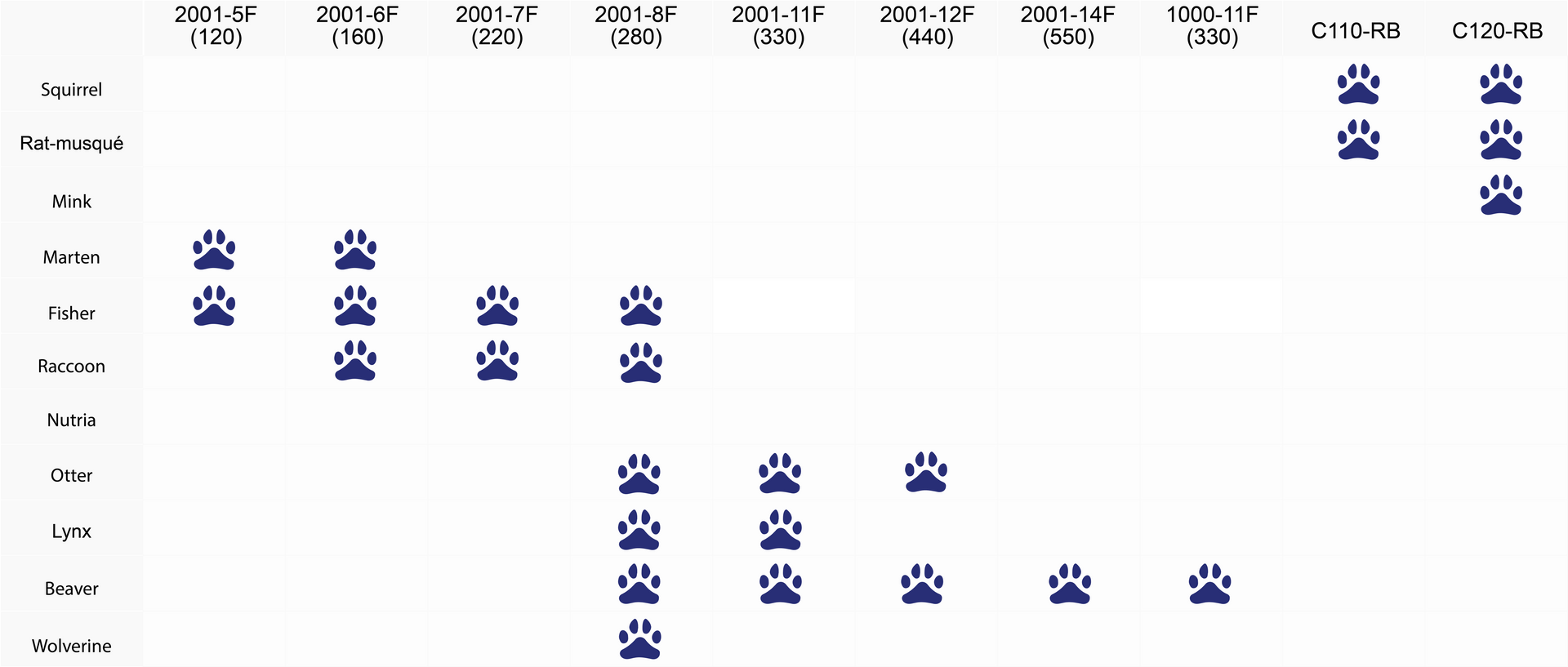 Timeline with paw prints indicating the occurrence of events in different years.