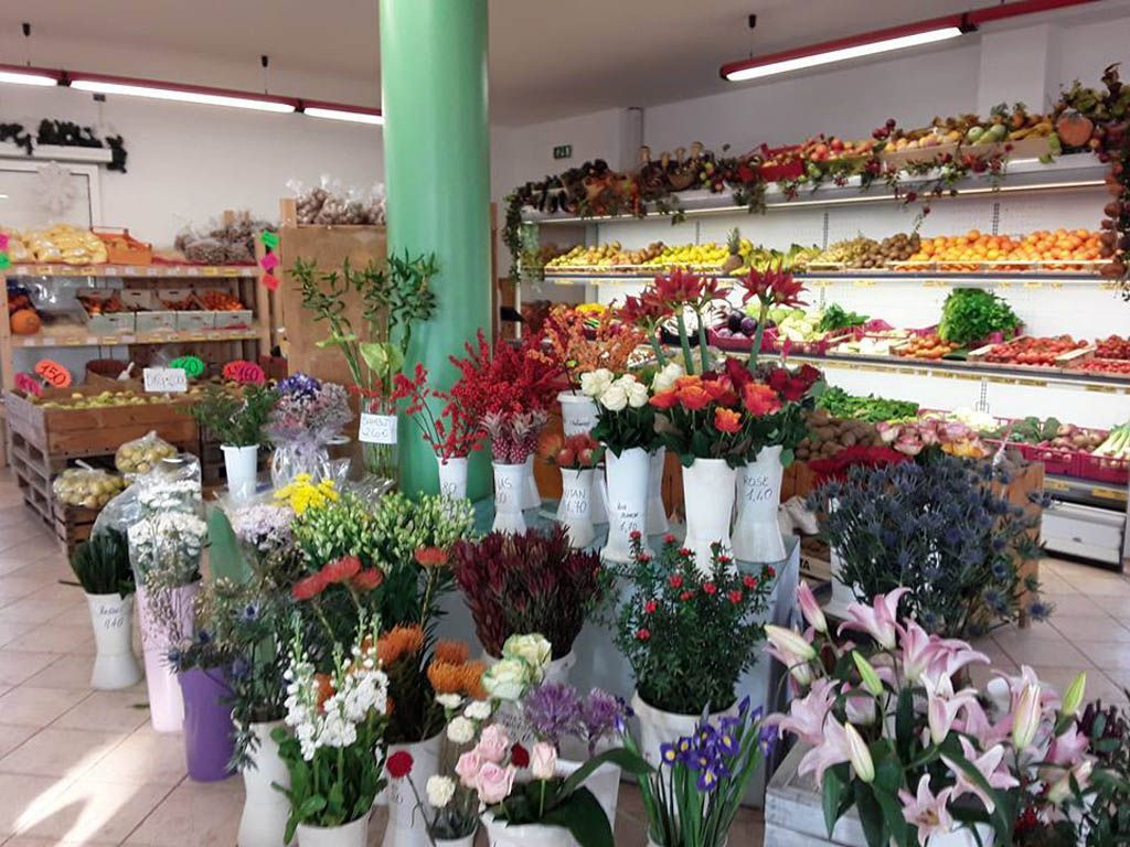 fiori natalizi