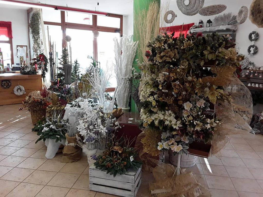 piante e fiori