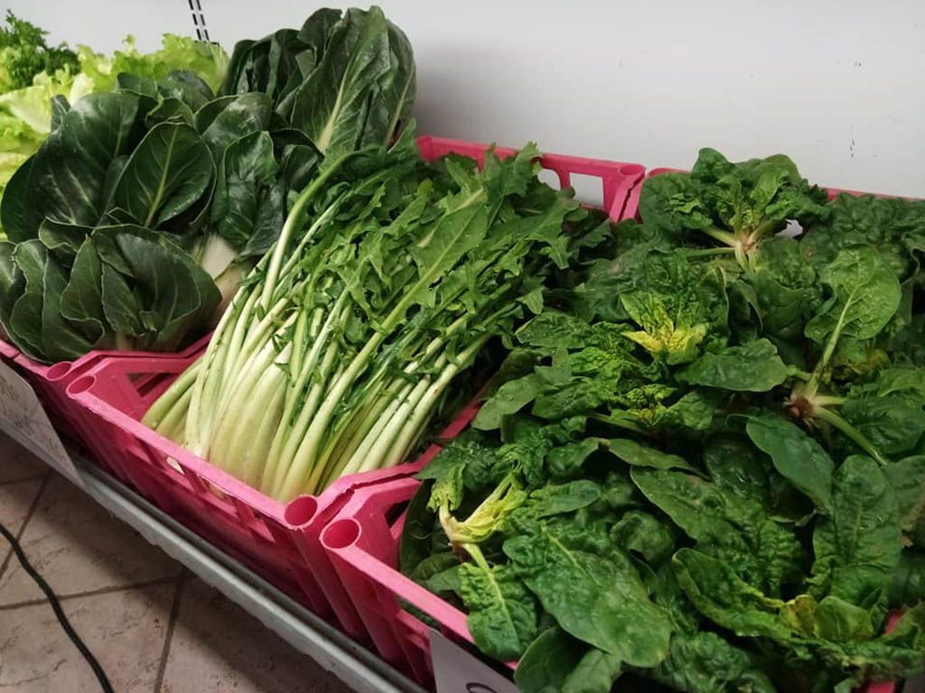 insalata e cime di rapa