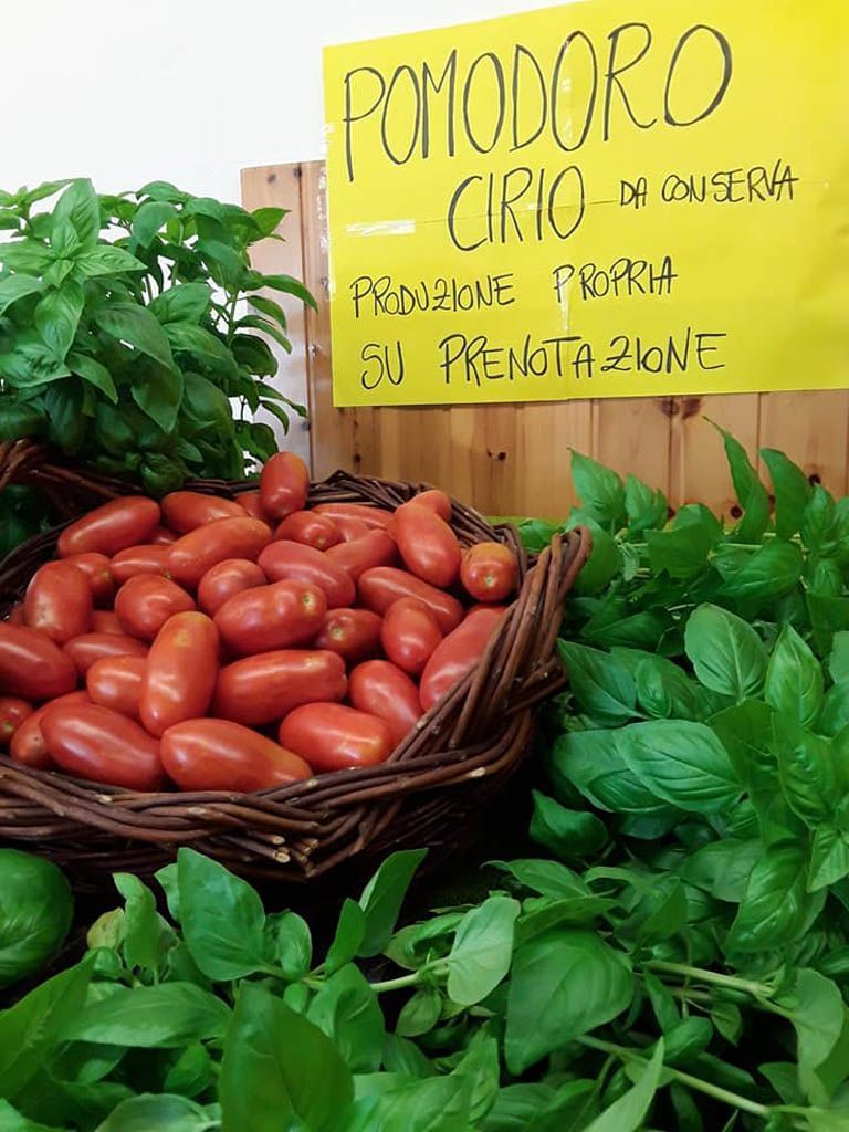 pomodori san marzano