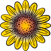 A drawing of a sunflower with an orange center