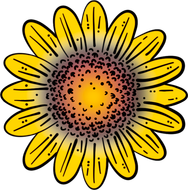 A drawing of a sunflower with an orange center