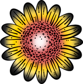 A drawing of a sunflower with a red center