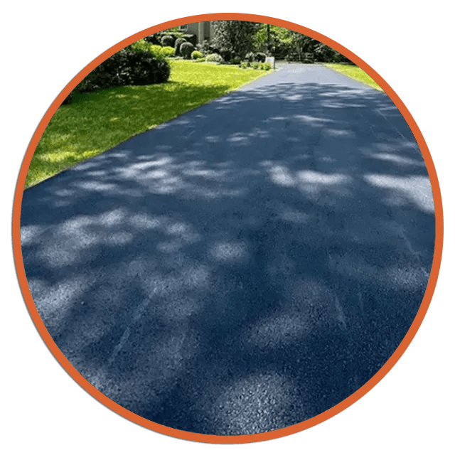 Sunlit paved path with tree shadows, bordered by green grass and bushes