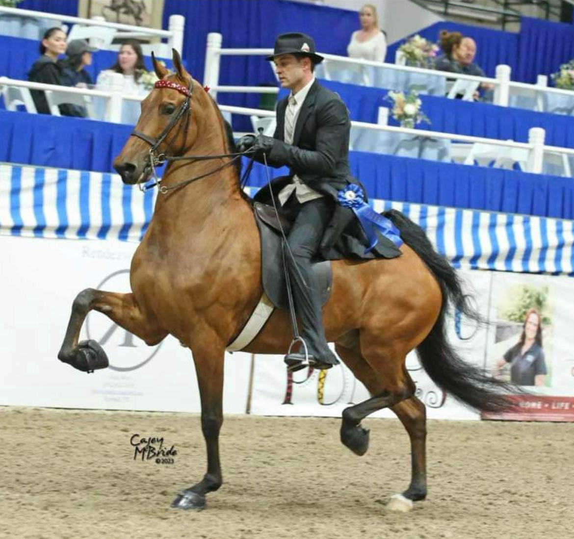 Show Riders