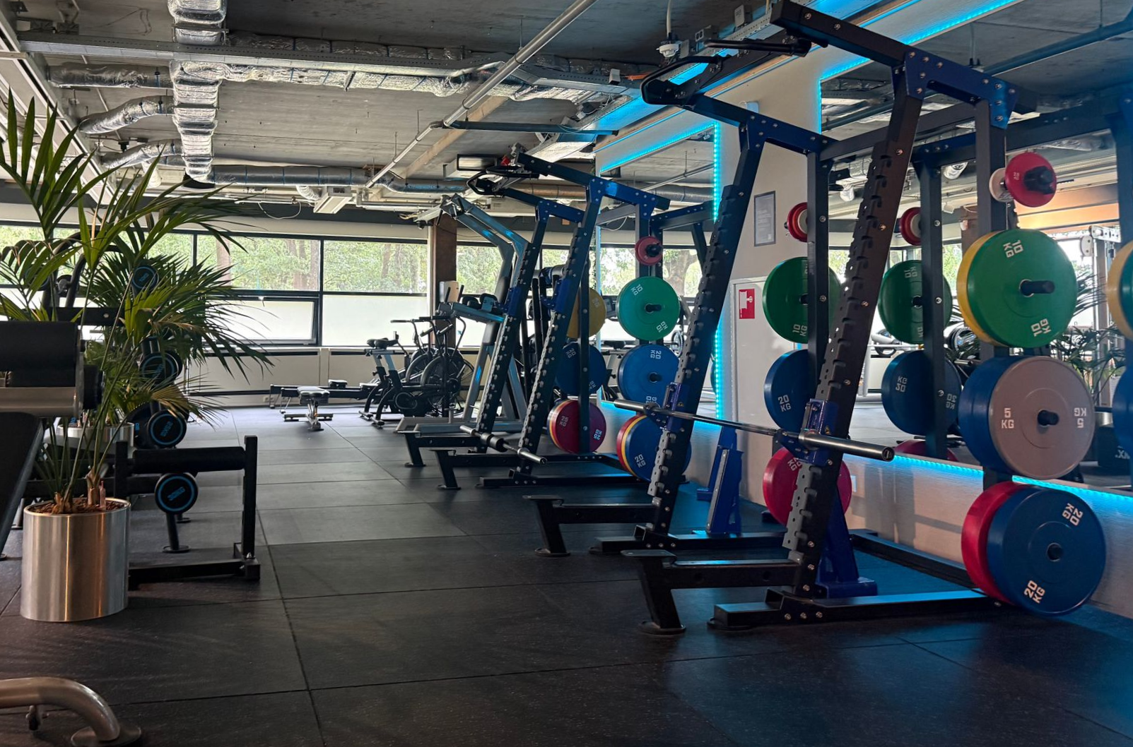 Moderne fitnessruimte met cardioapparaten, gewichtsrekken en kamerplanten bij grote ramen.