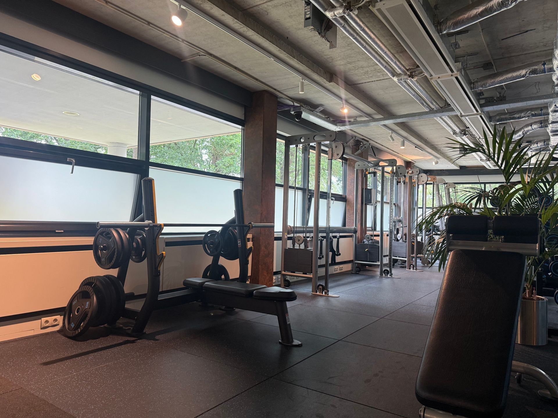 Een lege fitnessruimte met roeimachines, loopbanden en grote ramen die natuurlijk licht binnenlaten.