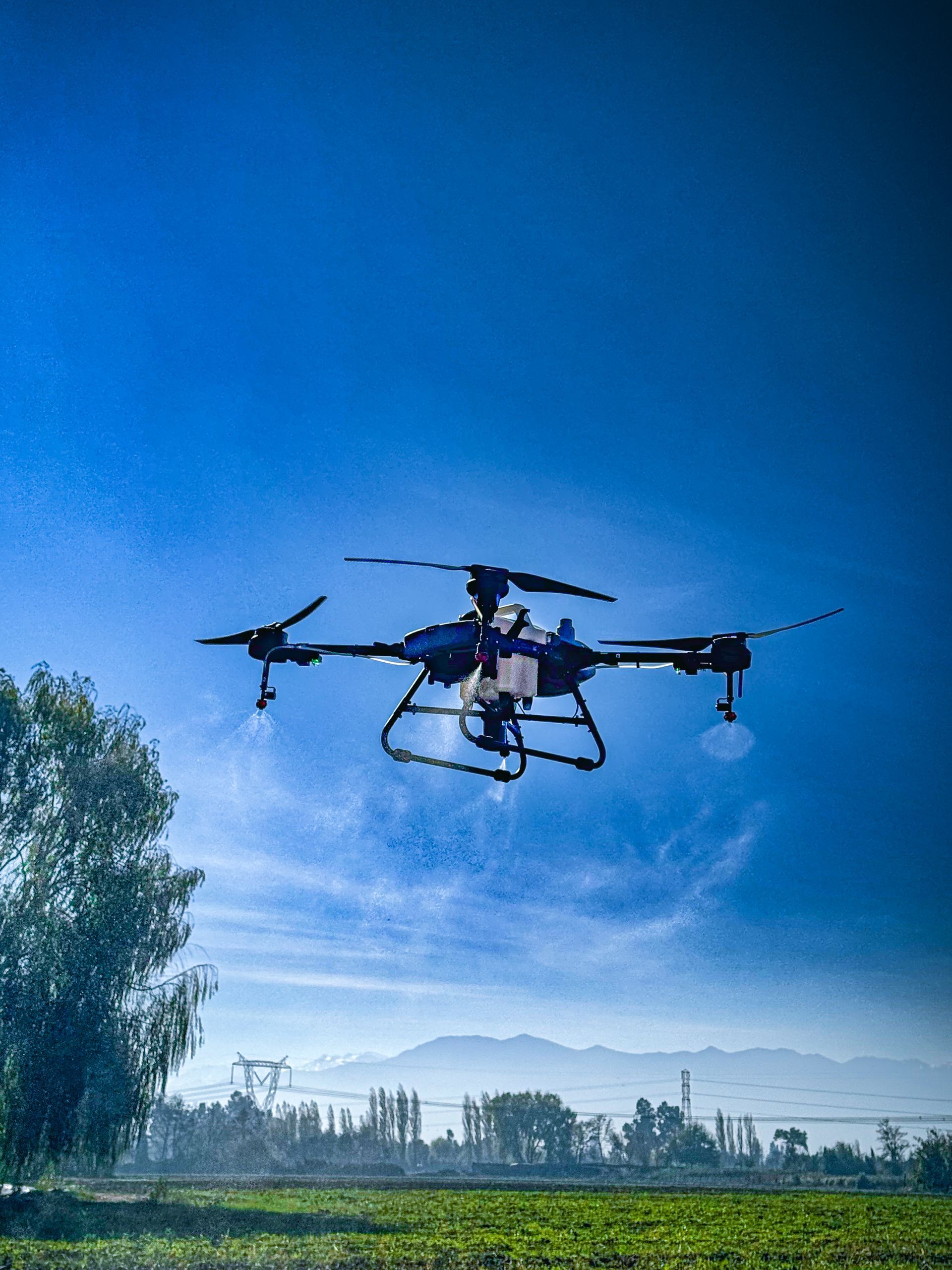 Dron volando sobre la hierba alta al atardecer.