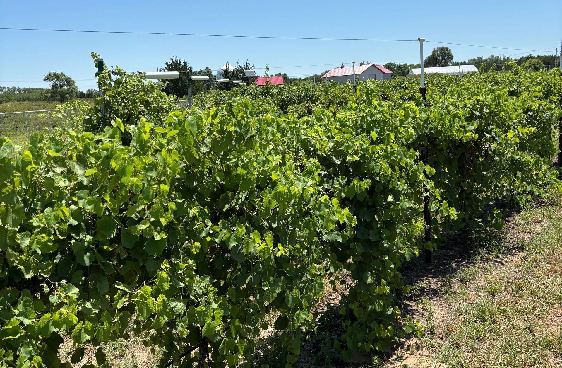 Kansas Winery, Kansas Wine, Hutchinson, KS, Things to do in Hutchinson KS