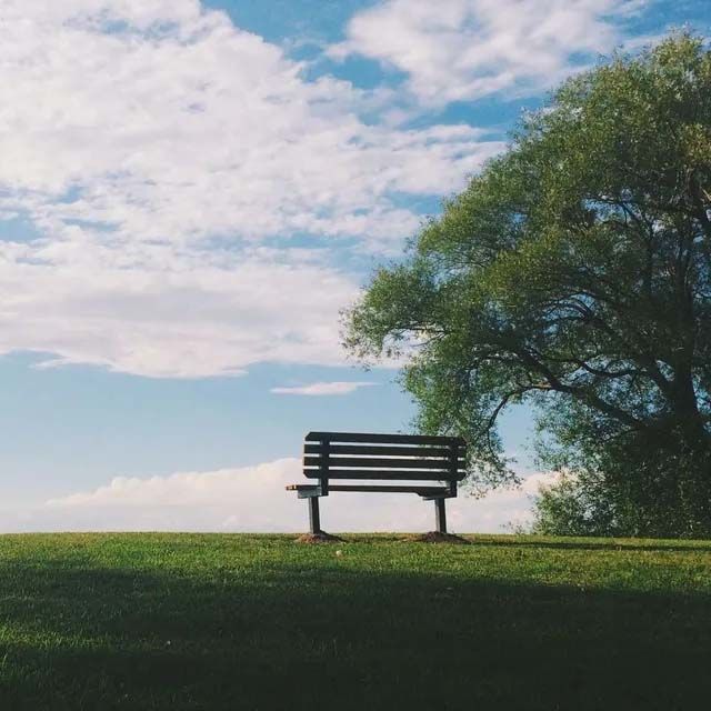 A dark park bench sits alone on a green grassy hill under a bright, cloudy blue sky next to a large, leafy tree.