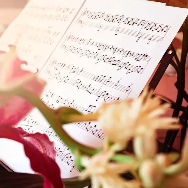 A music stand holds printed musical notation, framed by blurred, soft-focus pink and white flowers in the foreground.