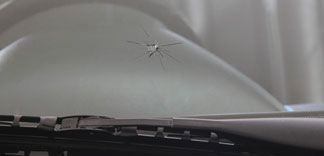 Windshield Replacement — Harrisburg, PA — Capital Auto Glass