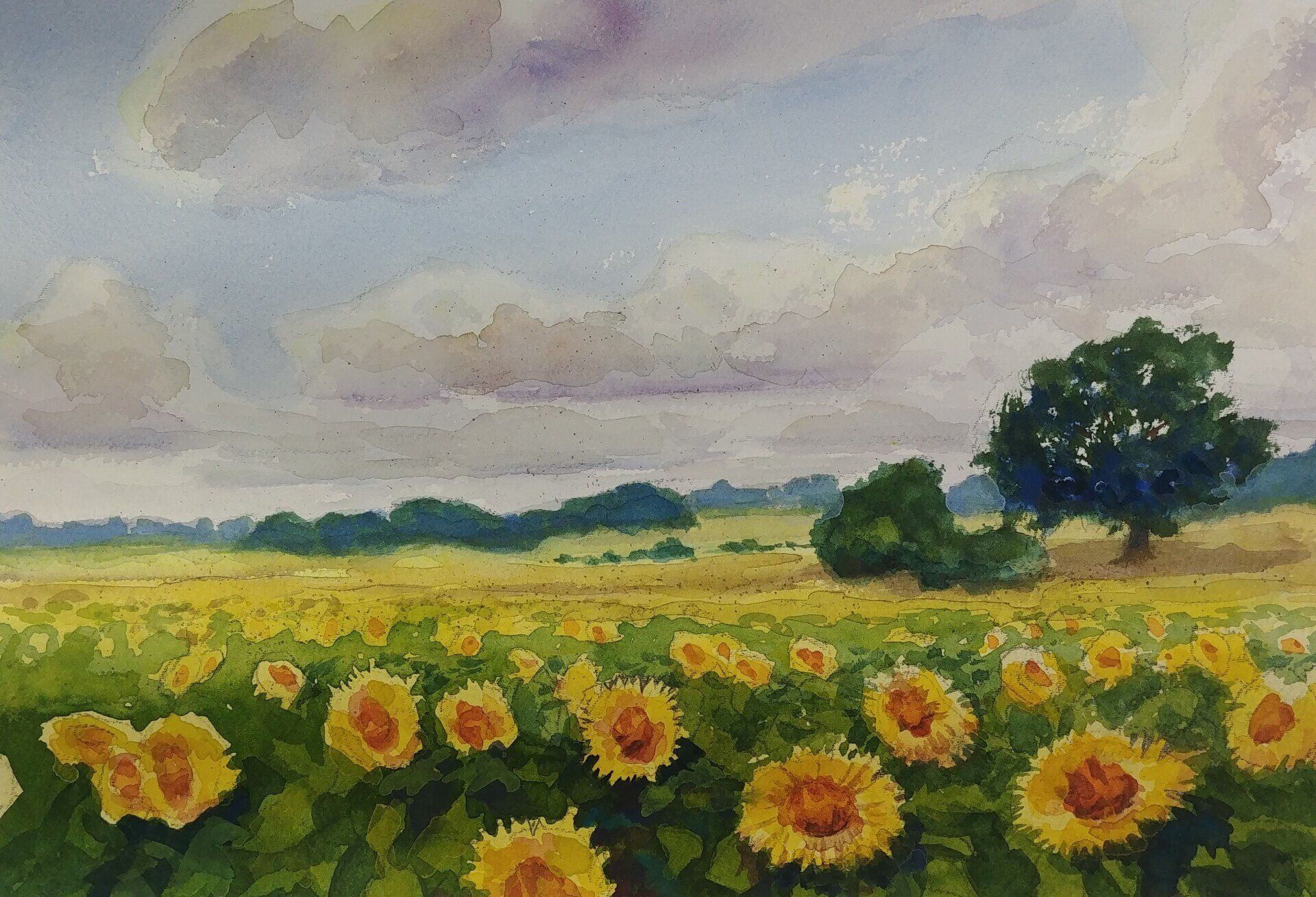 sunflower and clouds watercolor virtual zoom landscapes class painting robert sherrill workshops