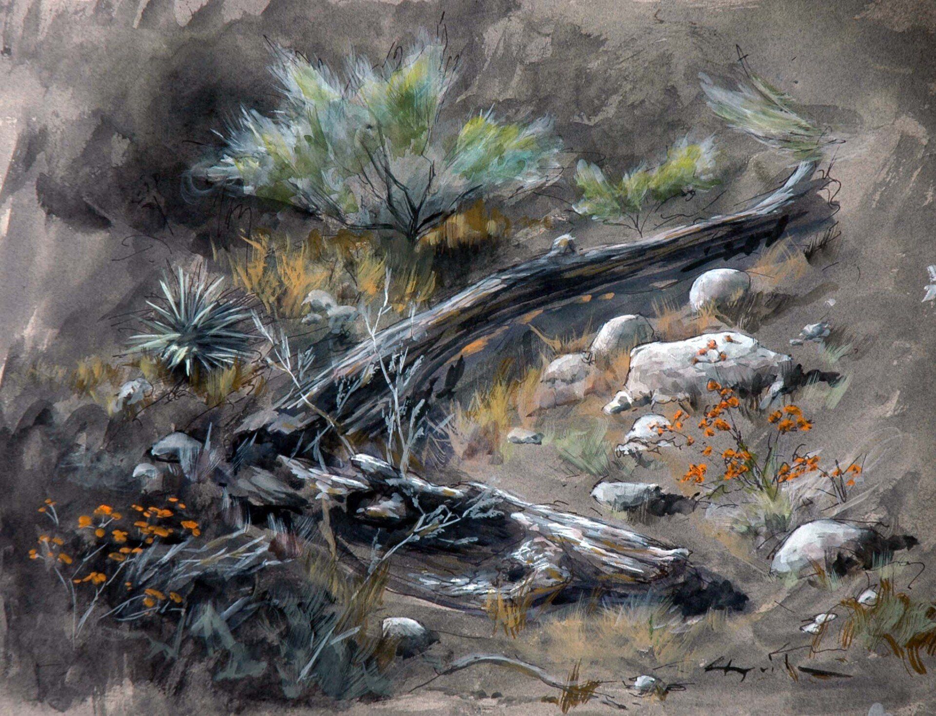 A watercolor landscapes class painting of deadwood at Eaton Canyon by Robert Sherrill Workshops