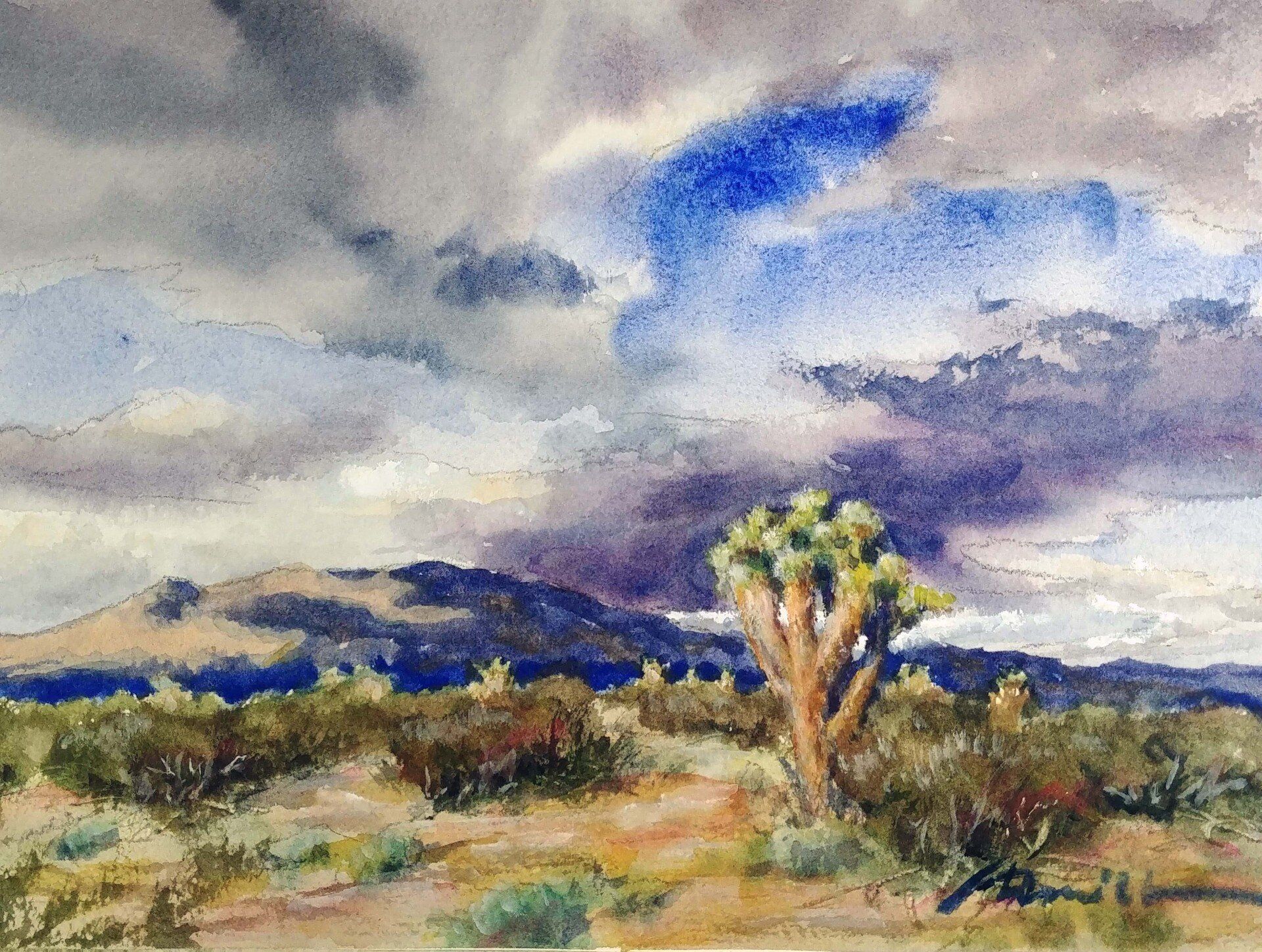mojave drama huntington library watercolor virtual live zoom landscapes class painting lesson robert sherrill workshops
