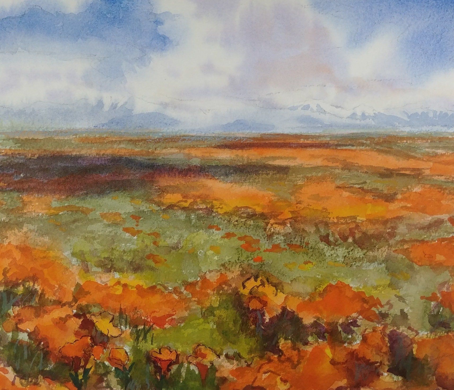 Poppies and Clouds painting Robert Sherrill workshops