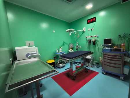 ambulatorio veterinario, assistenza veterinaria, servizi veterinari