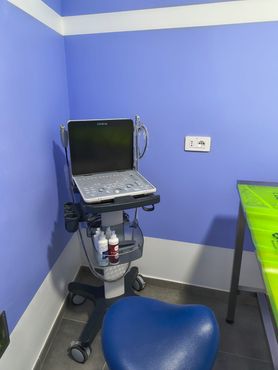 ambulatorio veterinario, assistenza veterinaria, servizi veterinari