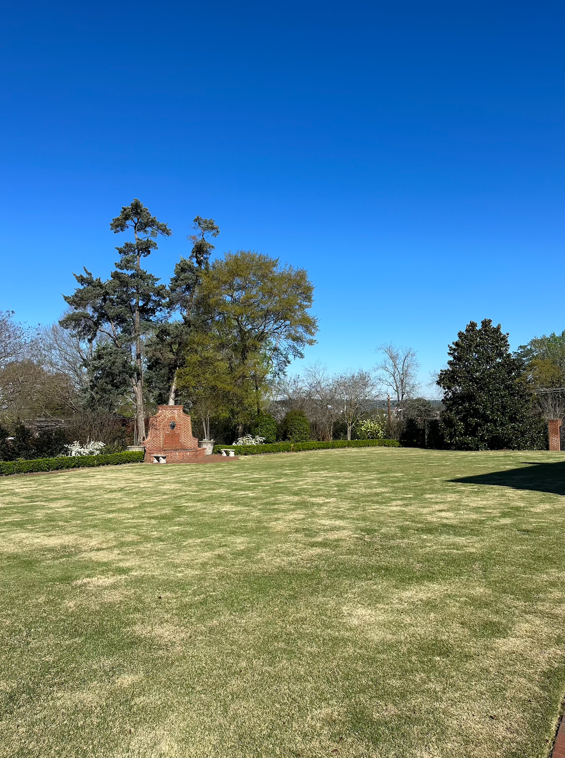 A large grassy field with trees in the background and a blue sky in the background.