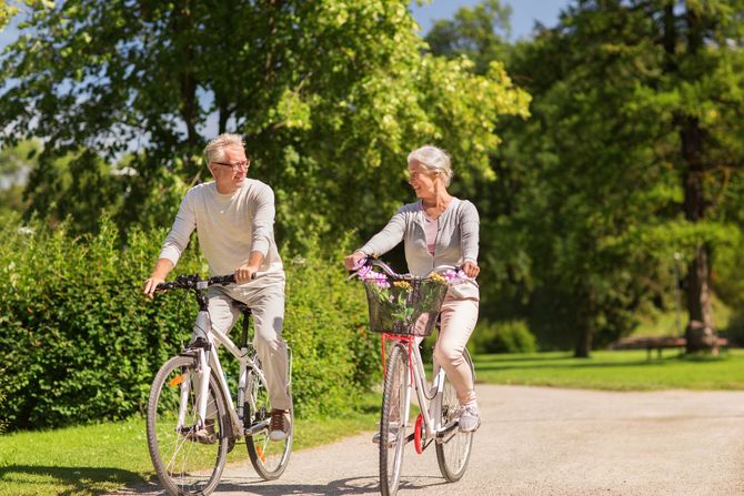 Two people riding bicycles on a sunny park path surrounded by green trees