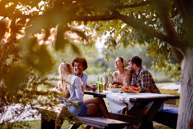 Friends chatting at a picnic table under trees in warm sunlight with drinks and food