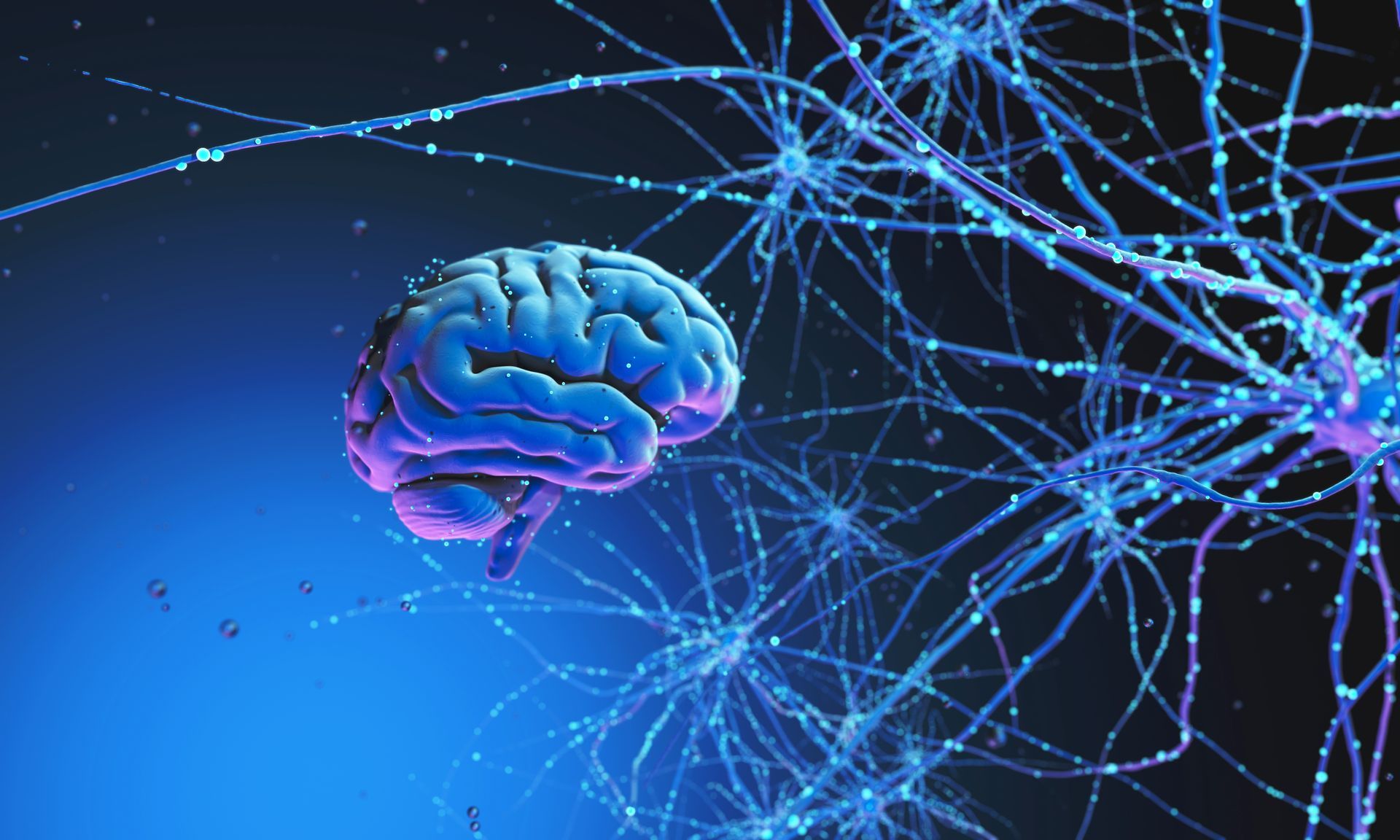 Blue brain with surrounding neuron network, on blue background.