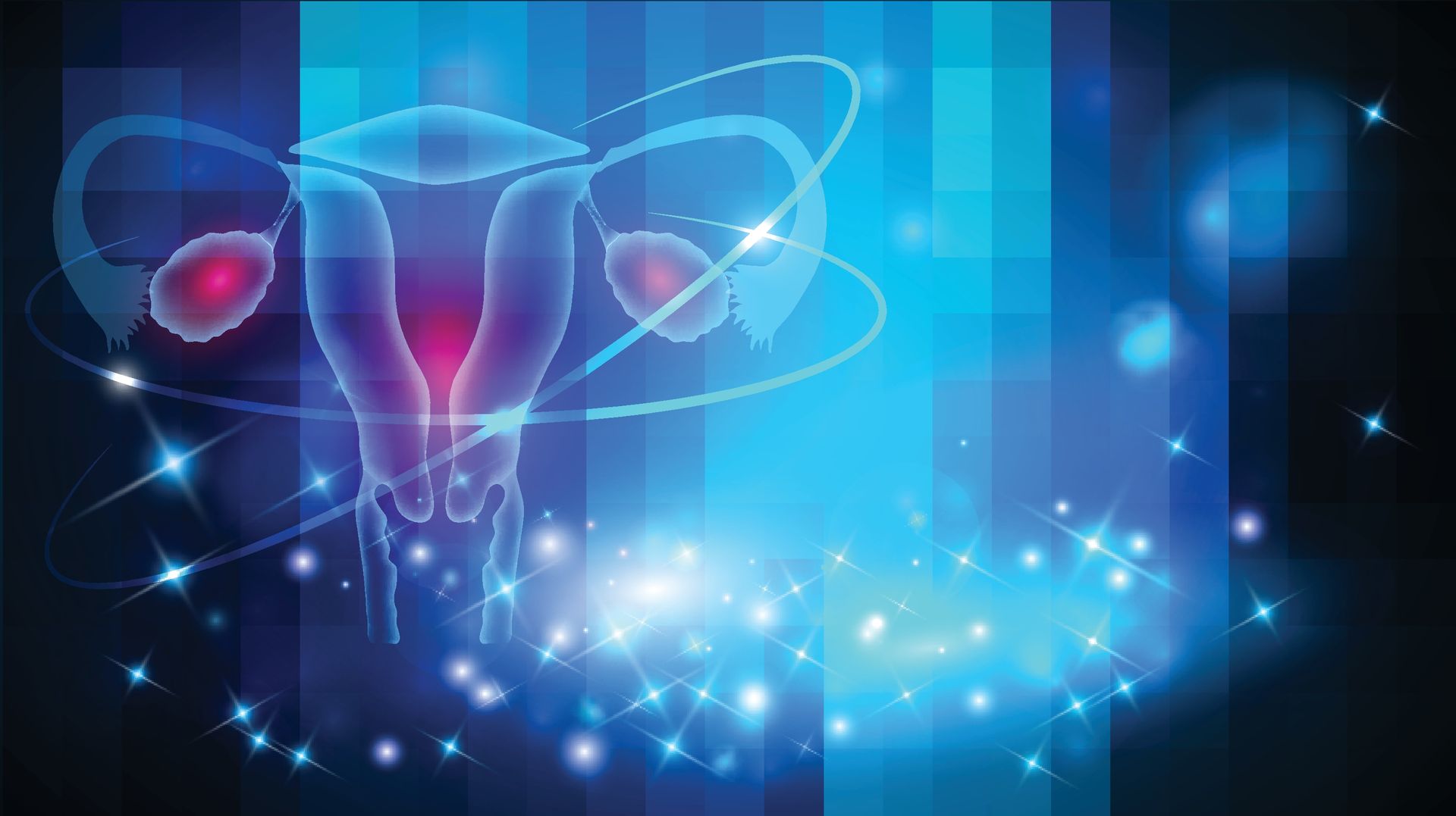 Diagram of female reproductive system, highlighted in blue and red, against a blue and black backdrop.