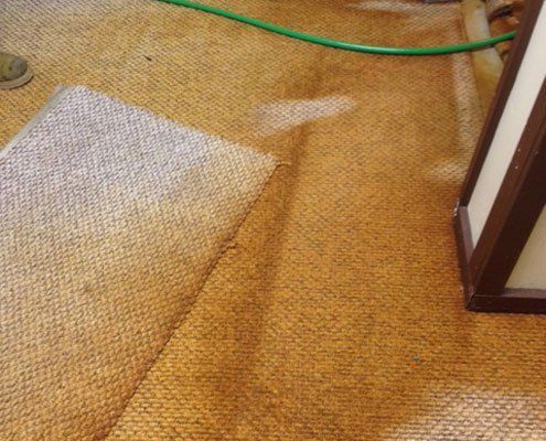 Close-up of a green cleaning hose on a brown carpet, highlighting professional carpet cleaning services.