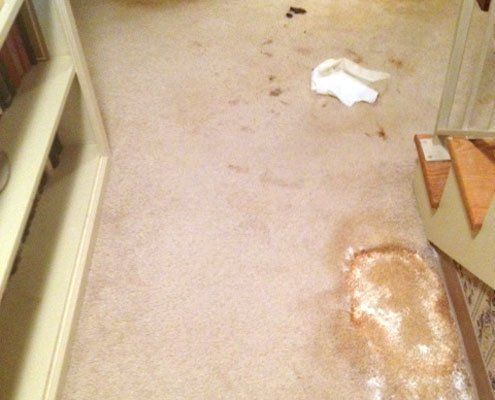 Stained carpet in a room with stairs, highlighting the need for professional deep cleaning solutions.