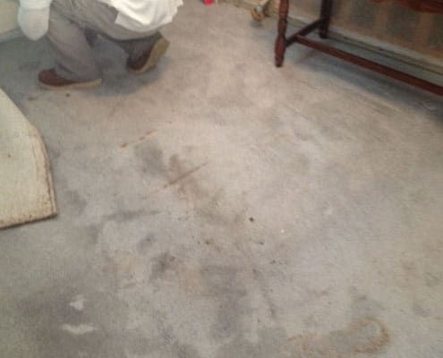 Hidden water damage stains on carpet after indoor flooding