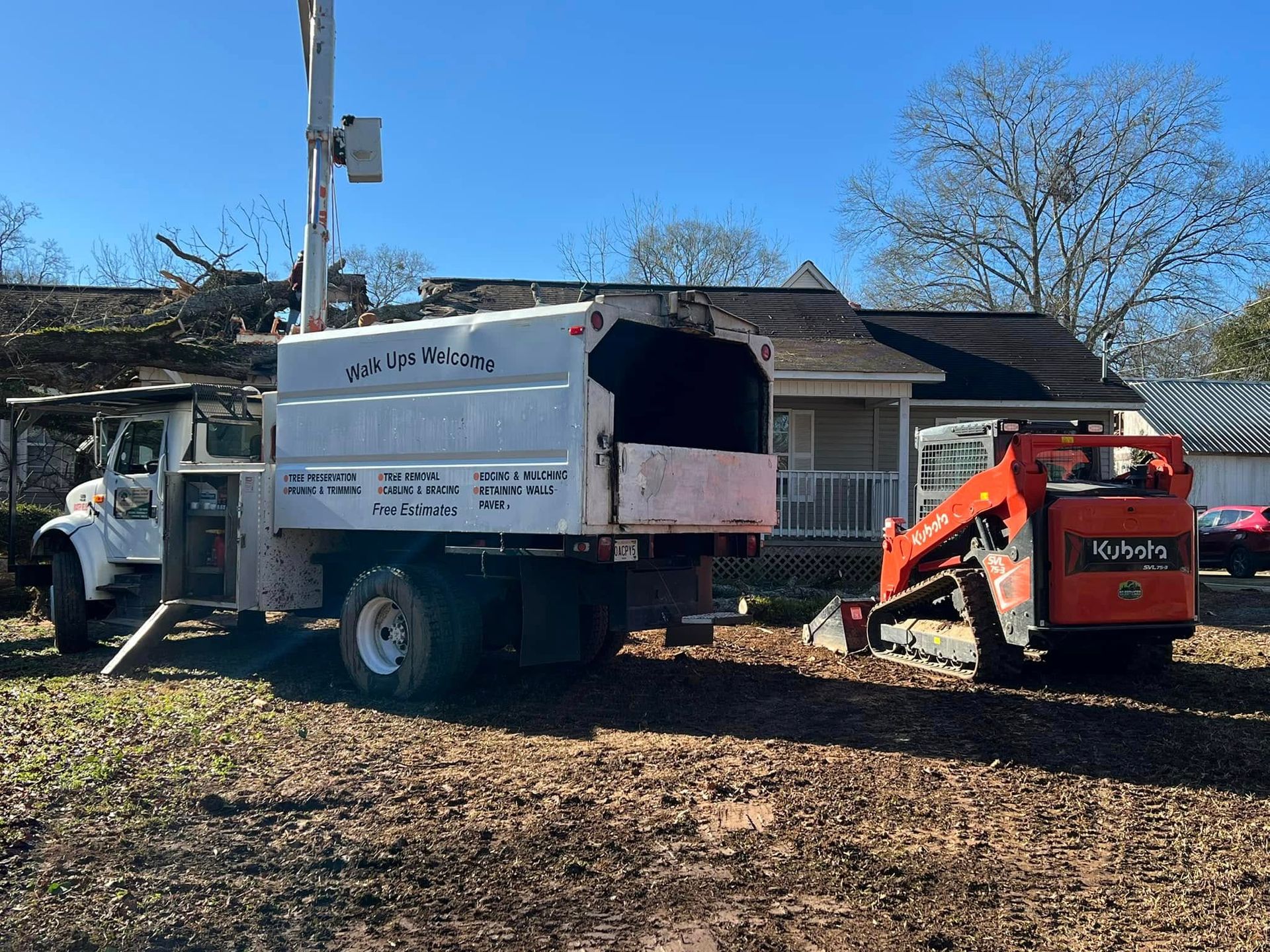 A white tree service truck and an orange Kubota skid steer parked on a leaf-covered lawn in front of a house.