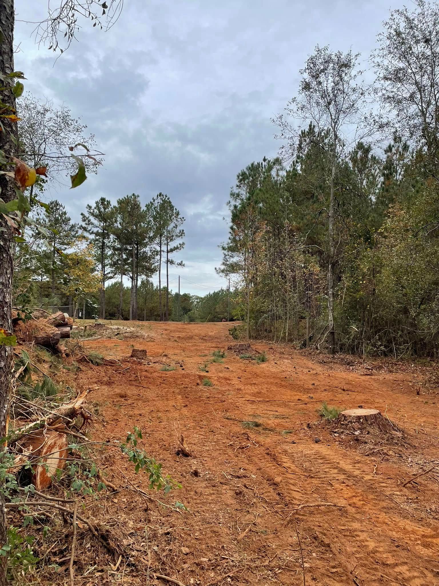 A path carved through a wooded area with bare, red clay soil surrounded by pine trees under a cloudy sky.