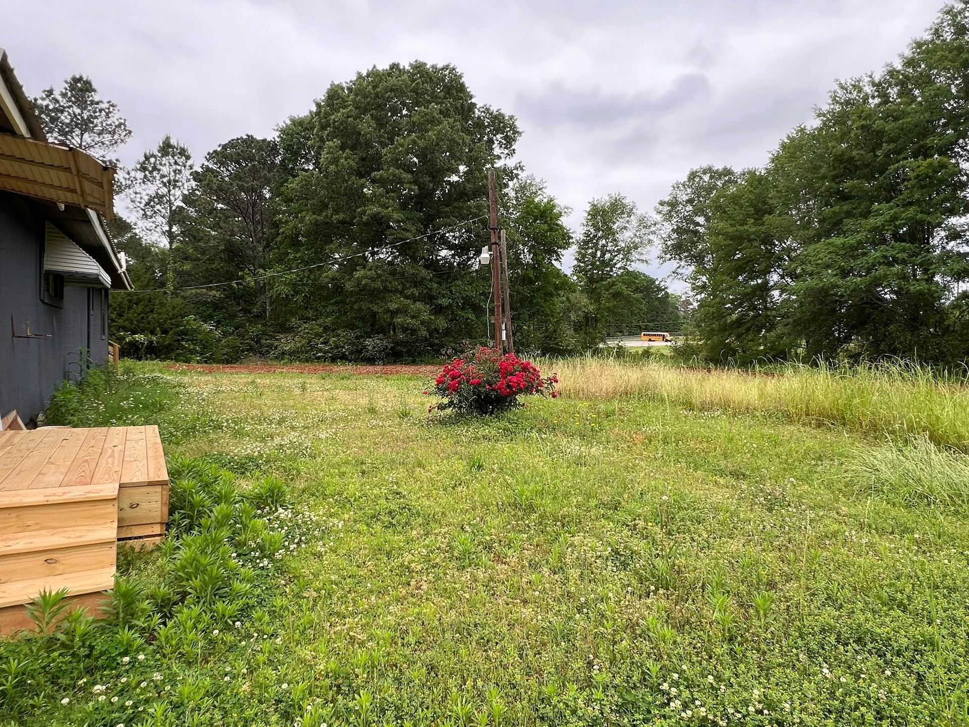A wooden deck borders a grassy yard with a bush of red flowers, surrounded by trees under a cloudy sky.