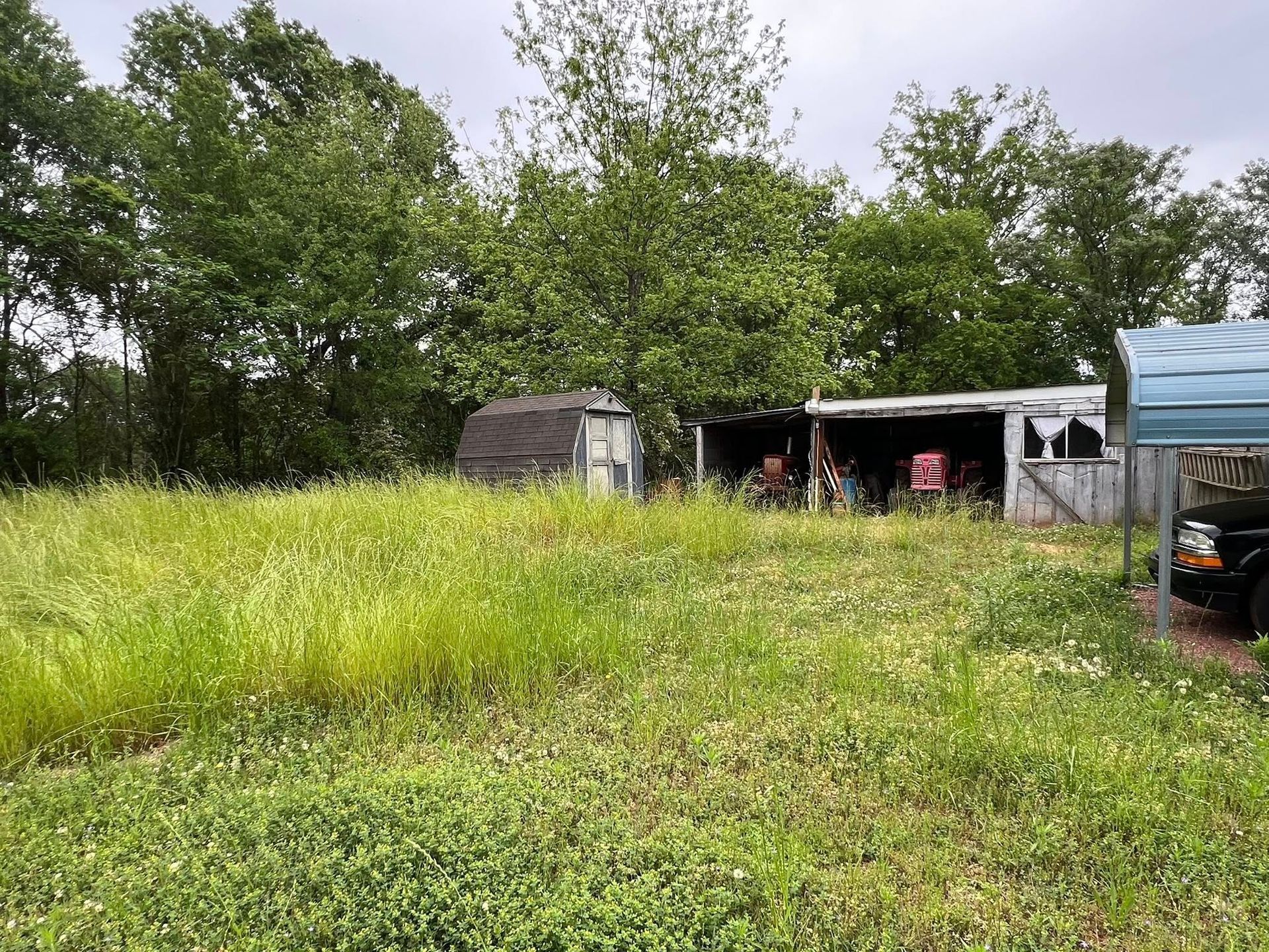 An overgrown grassy field leads to a small, worn wooden shed and a partially obscured vehicle under a metal carport.