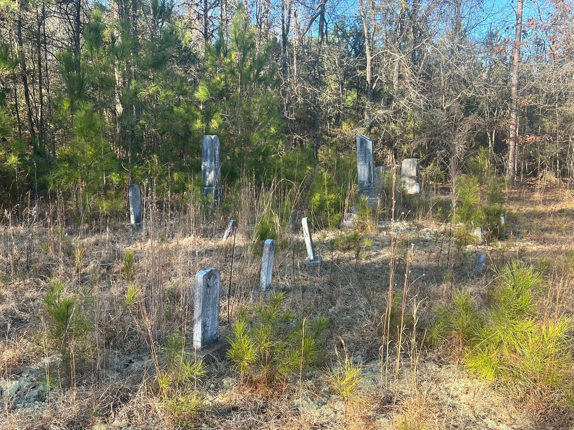 Several weathered gravestones stand in a small, overgrown cemetery surrounded by dense woods under a bright blue sky.