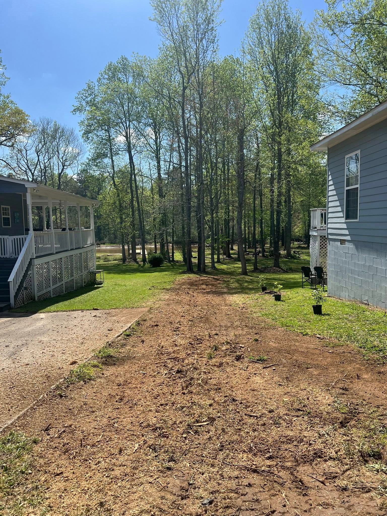 A dirt path covered in wood chips leads toward trees between two houses on a sunny day.