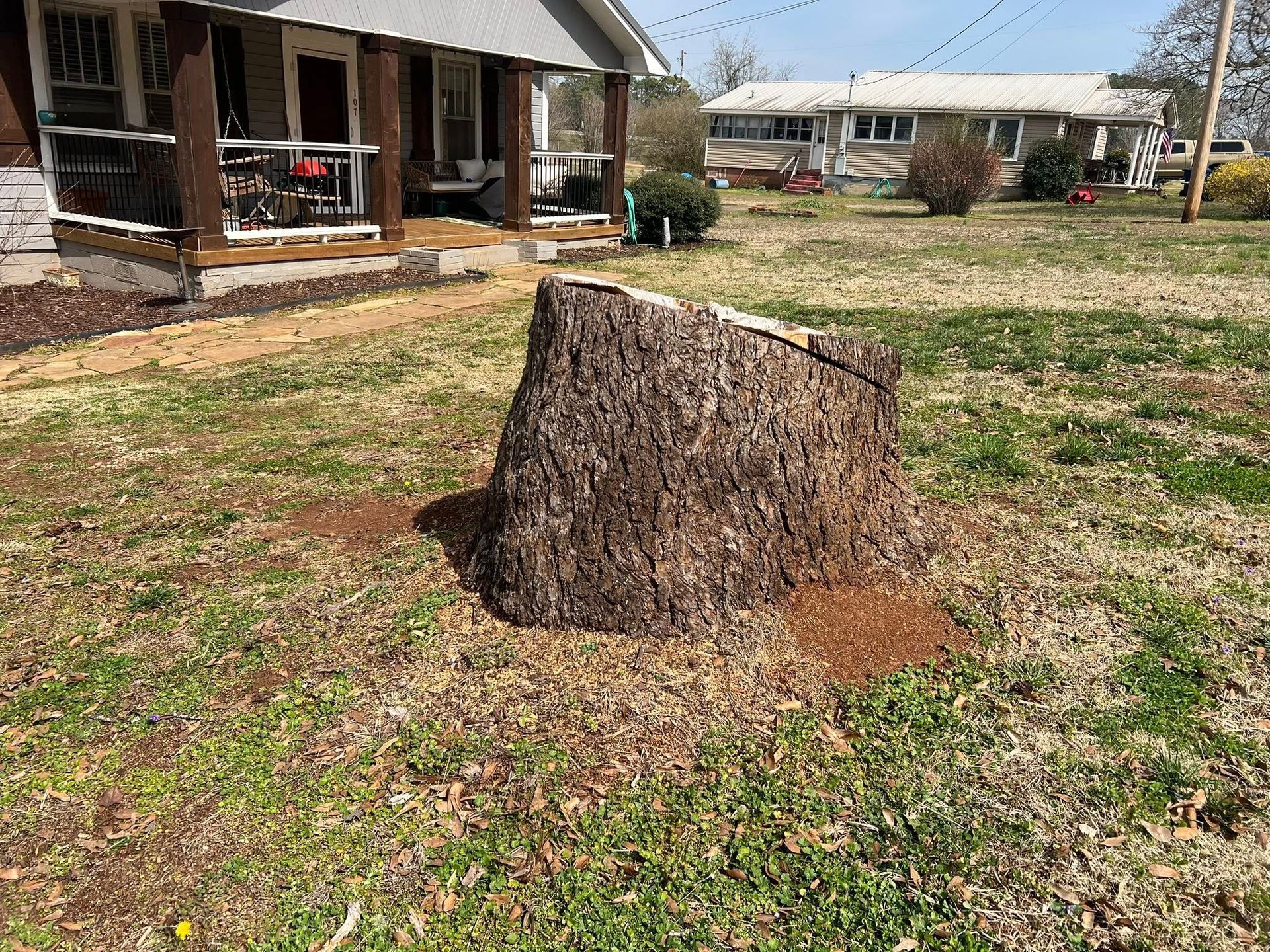 A large, rough-barked tree stump sits in a residential yard in front of a house on a sunny day.