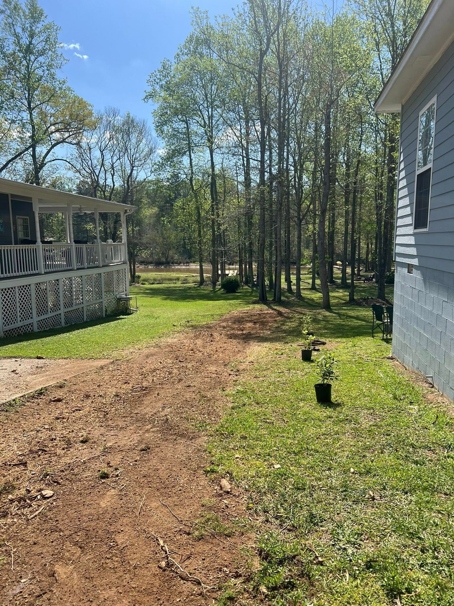 A yard with a dirt path leading toward woods, between a white latticed porch and a blue house with small potted plants.