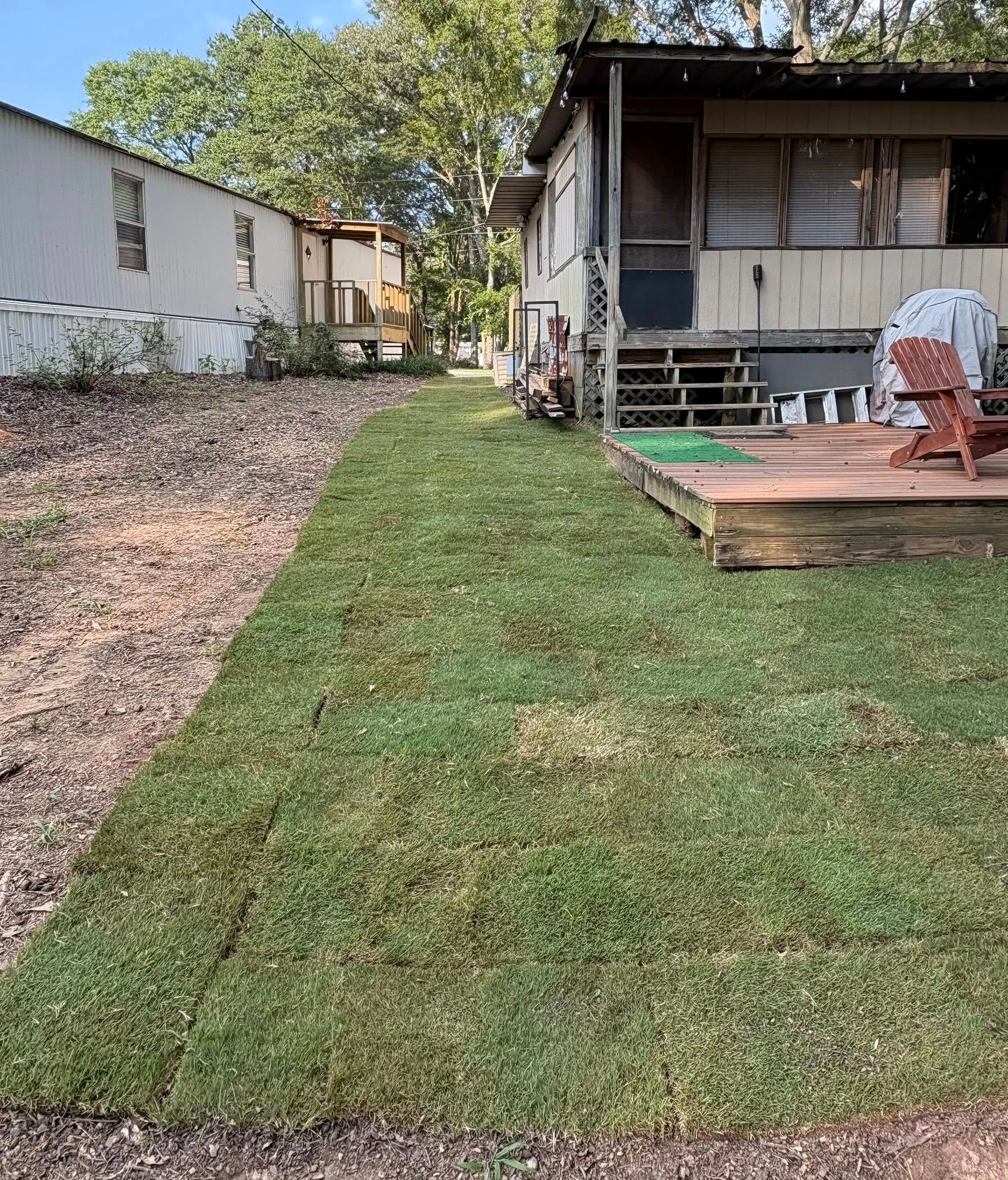 A patch of newly laid sod grass sits between a light-colored mobile home and a brown wooden deck in a grassy yard.