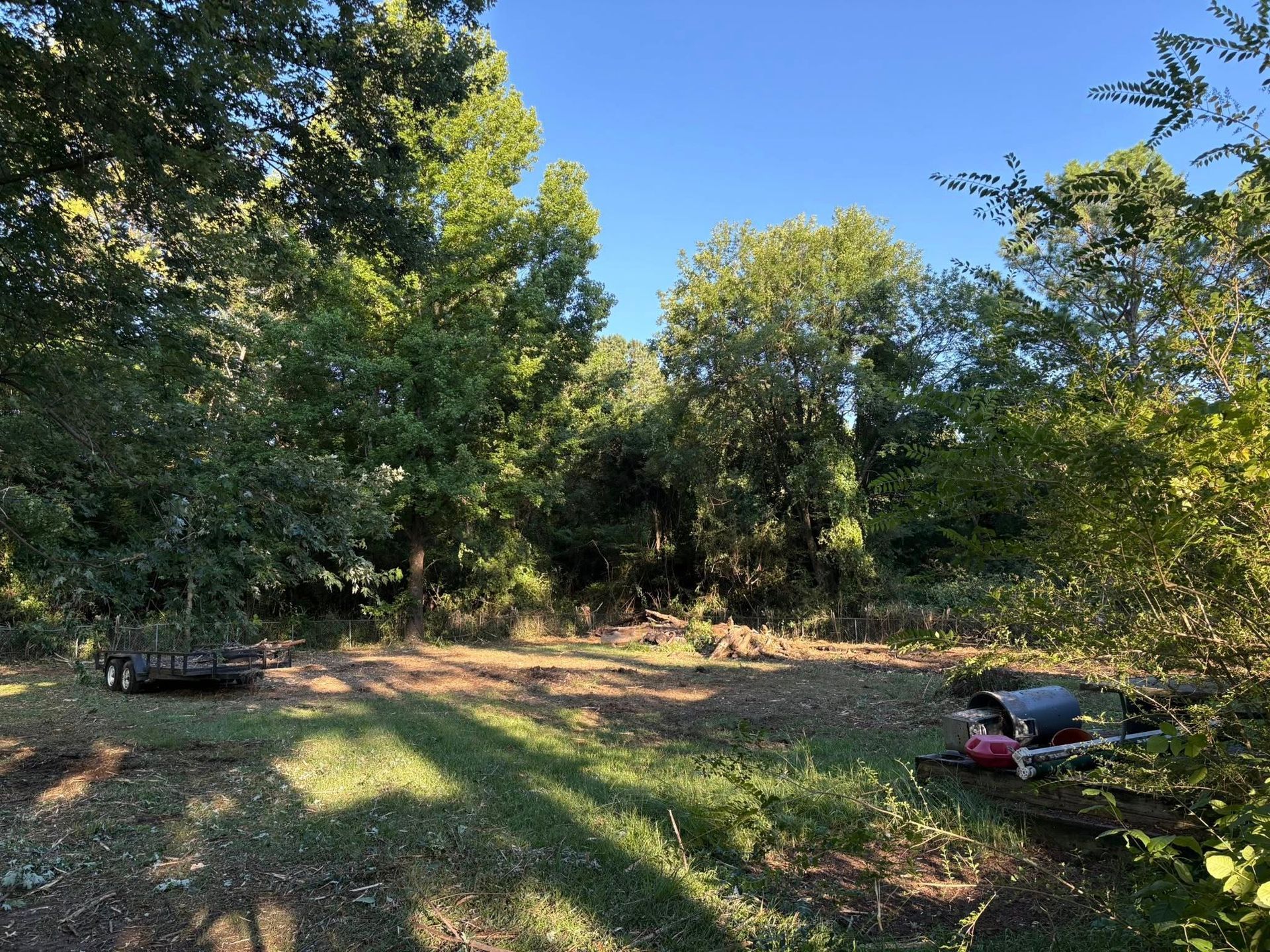 A sunlit, clearing in a wooded area with a small trailer on the left and a red lawnmower parked on the right.