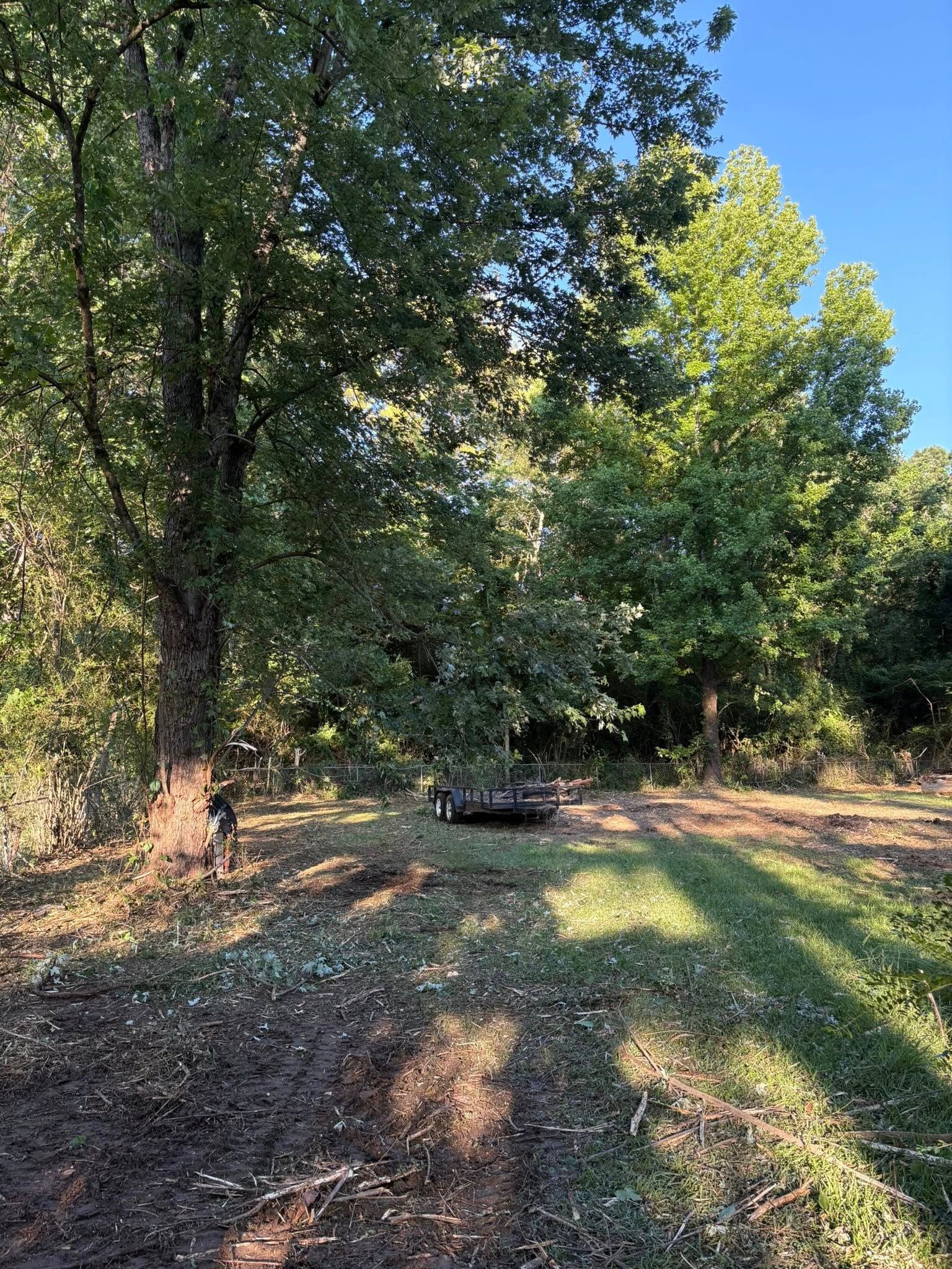 A trailer parked in a clearing surrounded by tall green trees under a clear blue sky.