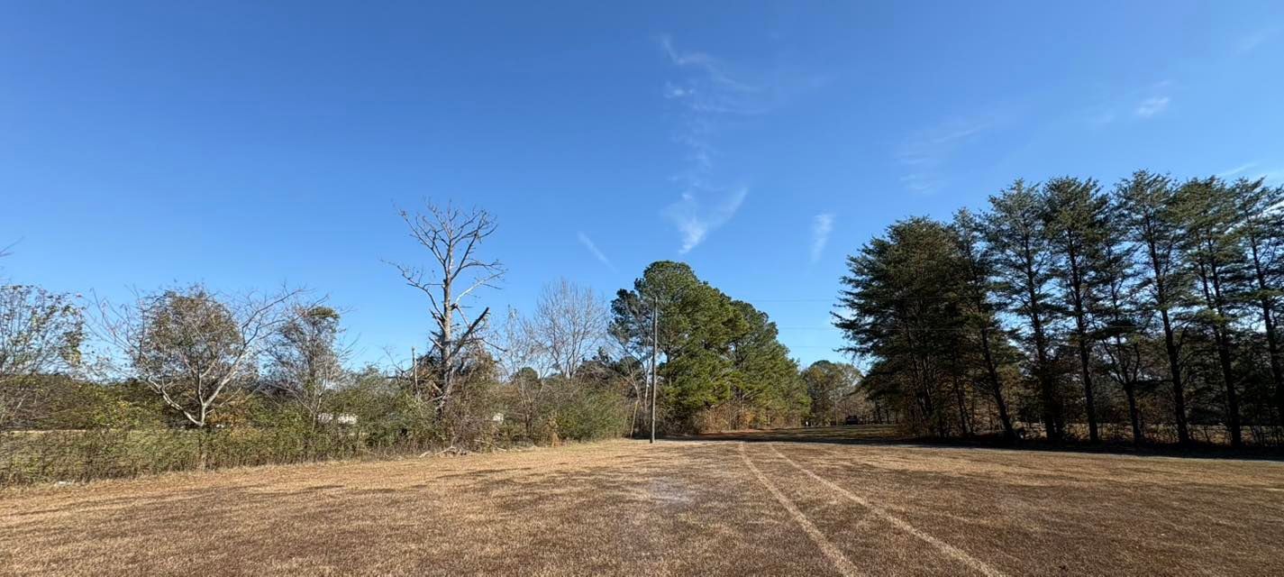 A sunlit, dry grass field with a line of trees and a utility pole under a clear blue sky.