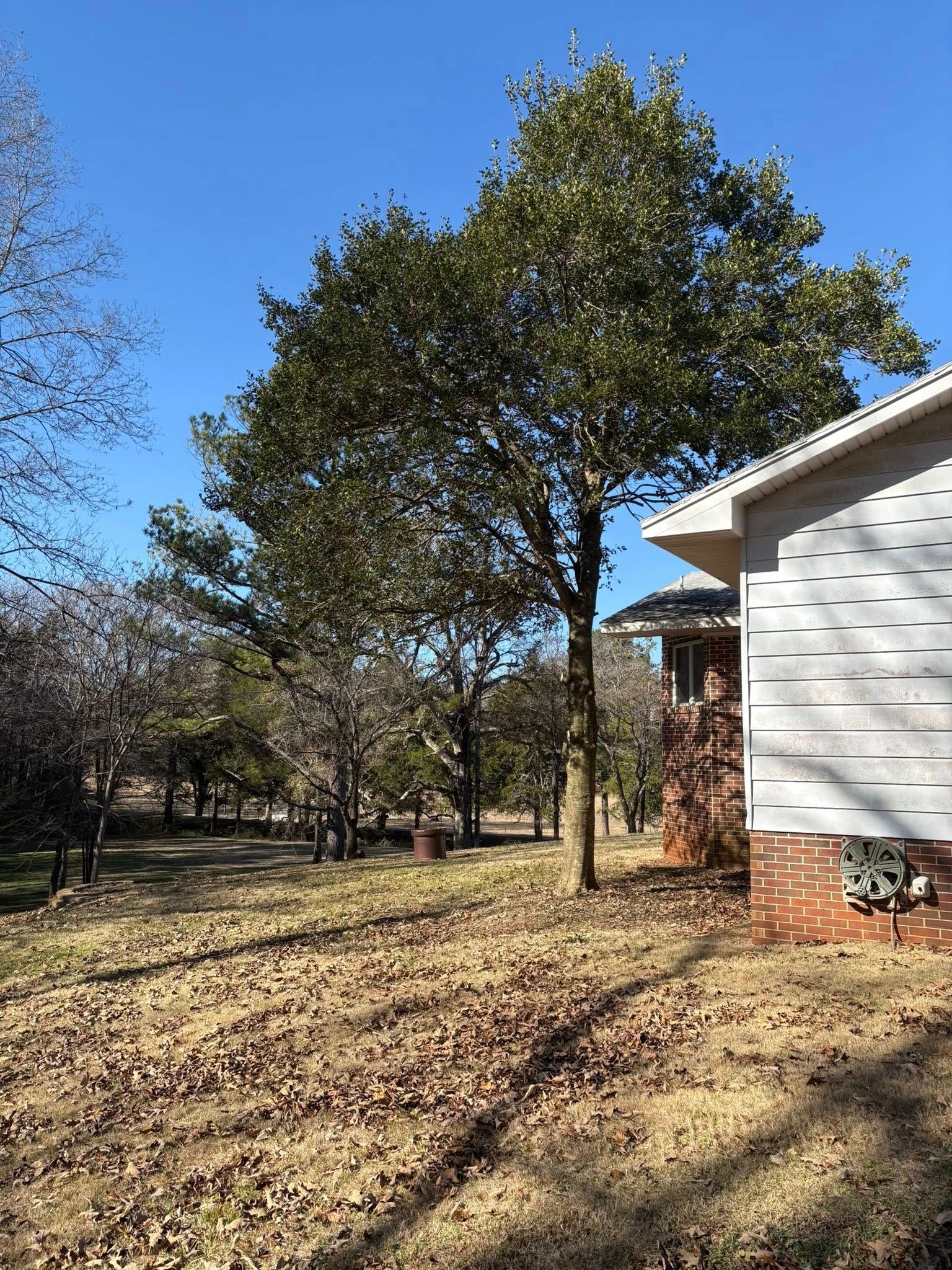 A house with white siding and a brick base stands next to a large tree with thick, green leaves on a sunny, clear day.
