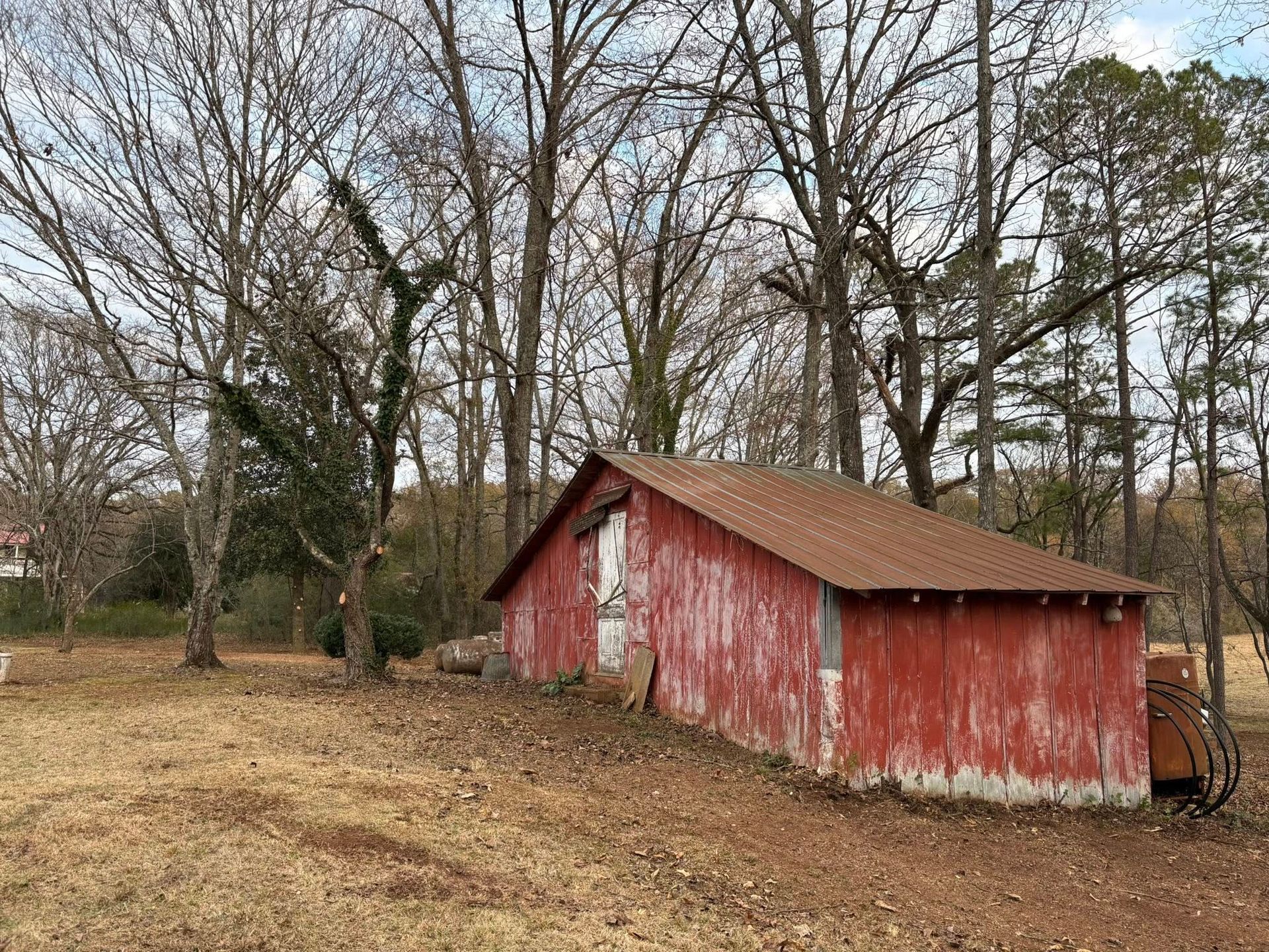 A weathered, red wooden shed sits in a grassy clearing surrounded by tall, bare trees under a cloudy sky.