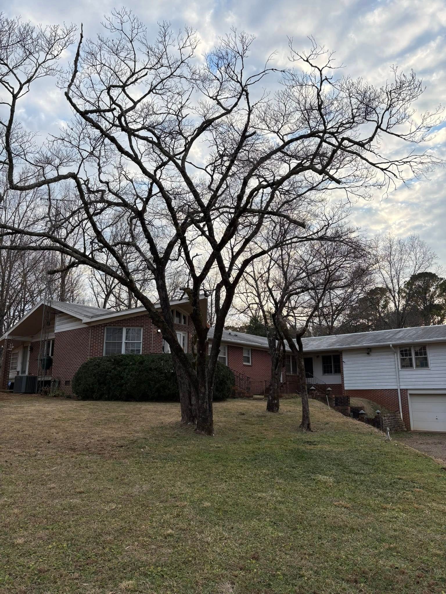 A single-story, horizontal home with a large, leafless tree in the foreground under a cloudy sky.