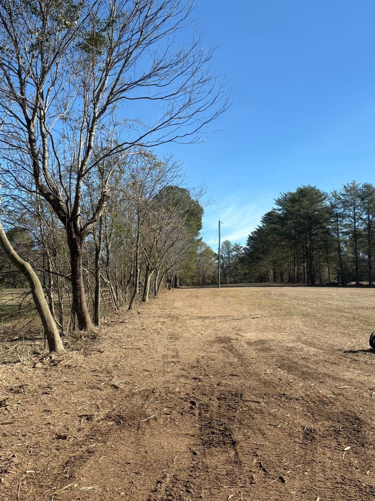 A line of bare trees borders a cleared, dirt field under a bright blue sky, with a tall utility pole in the distance.