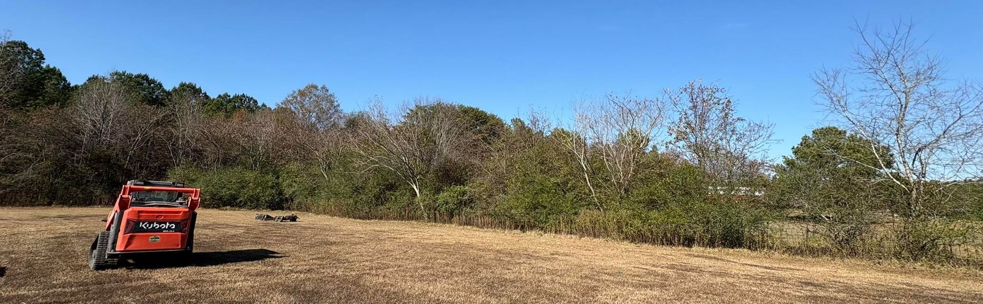 An orange skid steer loader sits on a large, dry grassy field in front of a dense, sunlit tree line under a clear blue sky.